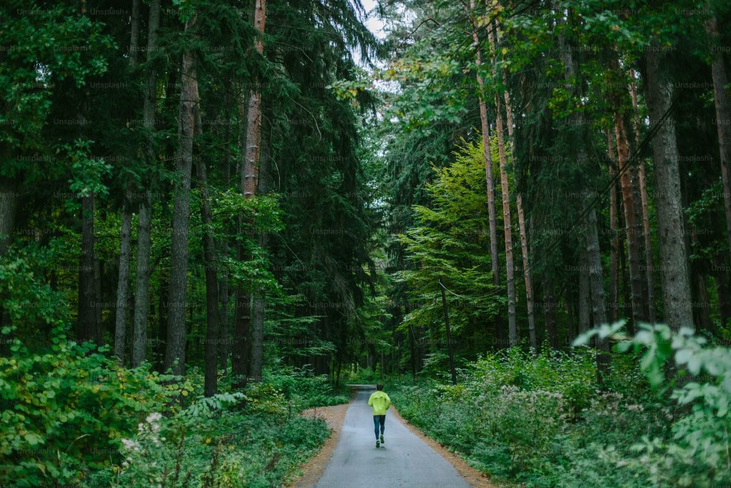 Homme débutant la course à pied de dos traversant une forêt de sapins